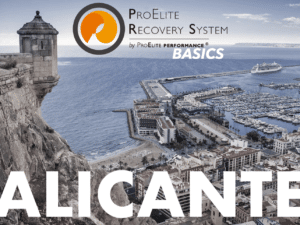 ALICANTE BASIC